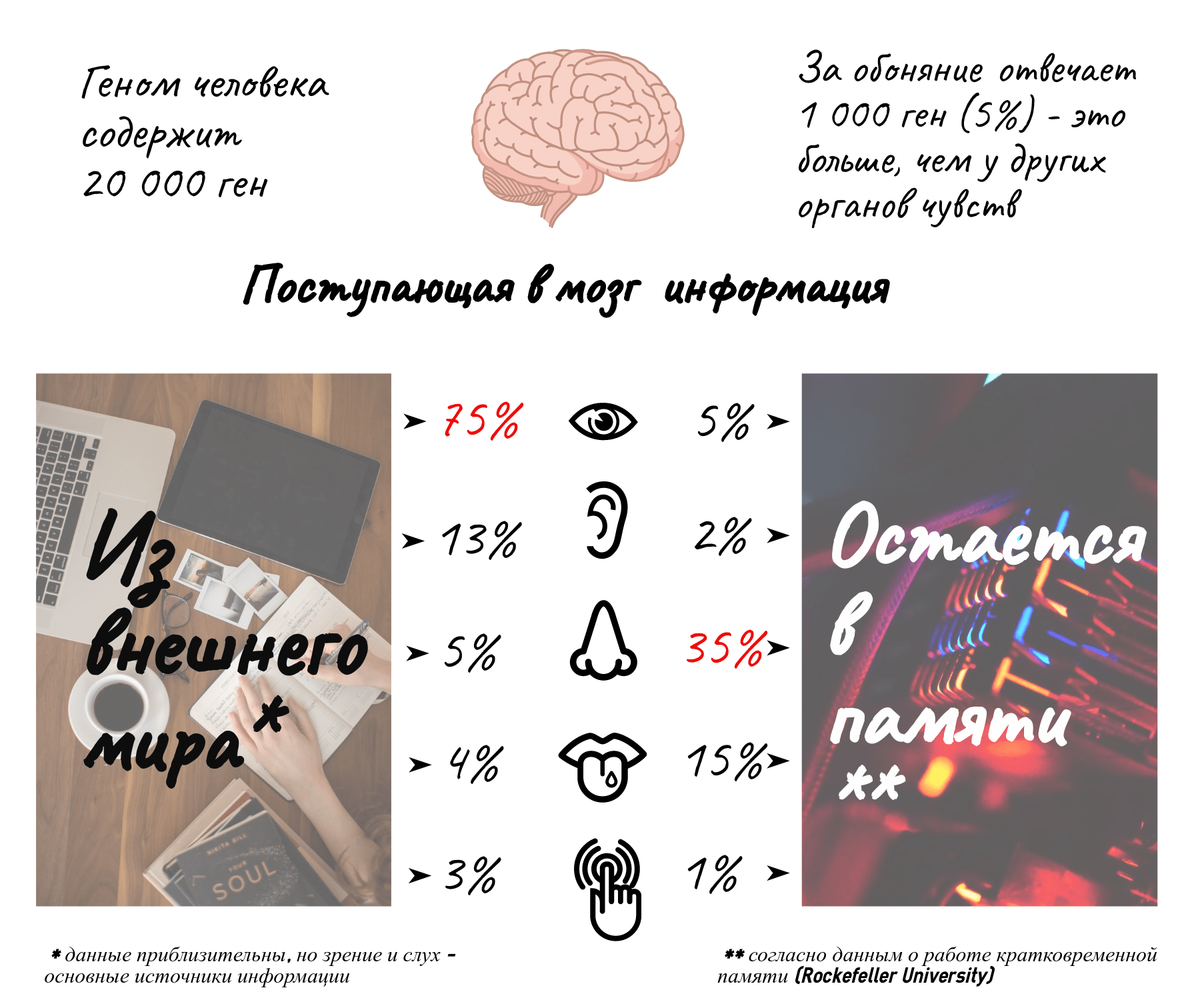 Обоняние и информация